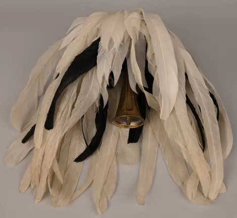 Prussian General Parade Federbush Visuel